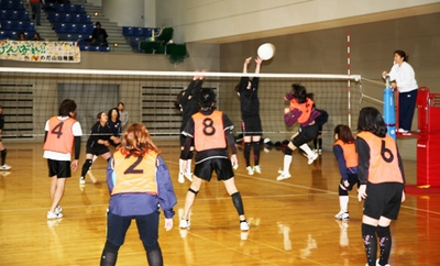 IMG_5383.JPG