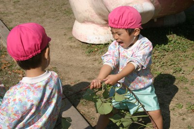 IMG_5560.JPG