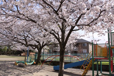 IMG_9752.JPG