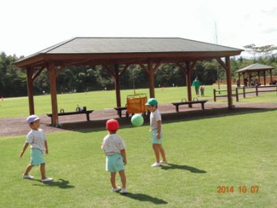 DSC02558.JPG